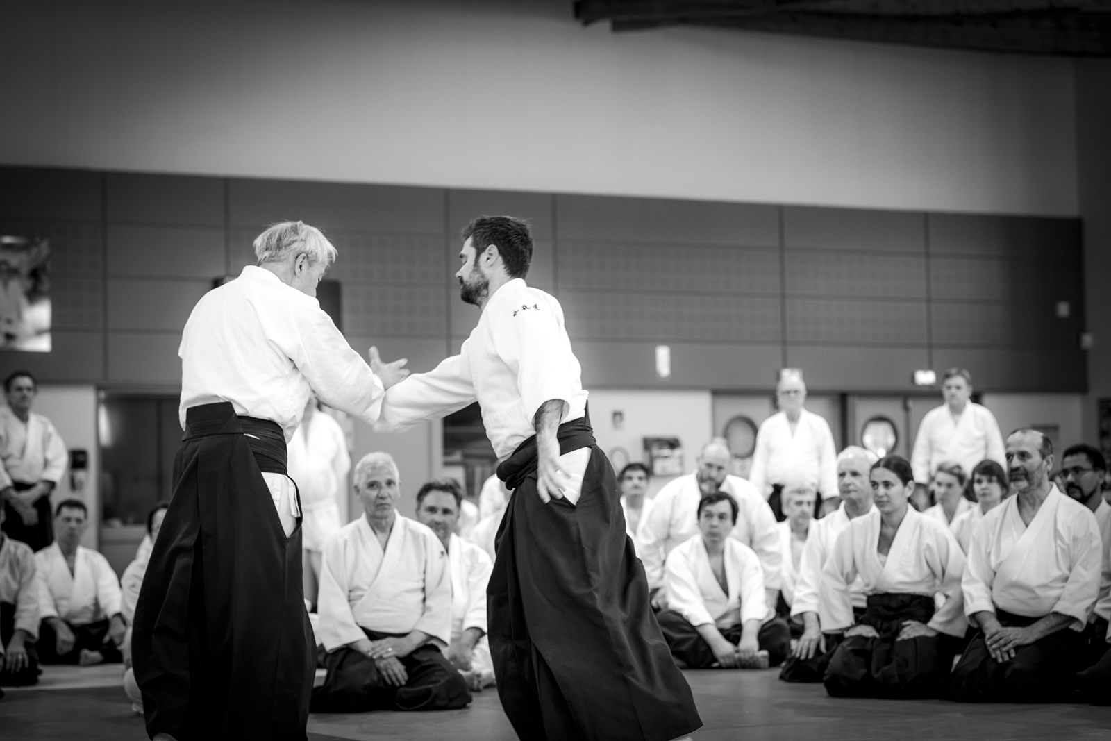 Stage Hiroshi Ikeda 2026 — Aïkido Kannagara Guyancourt