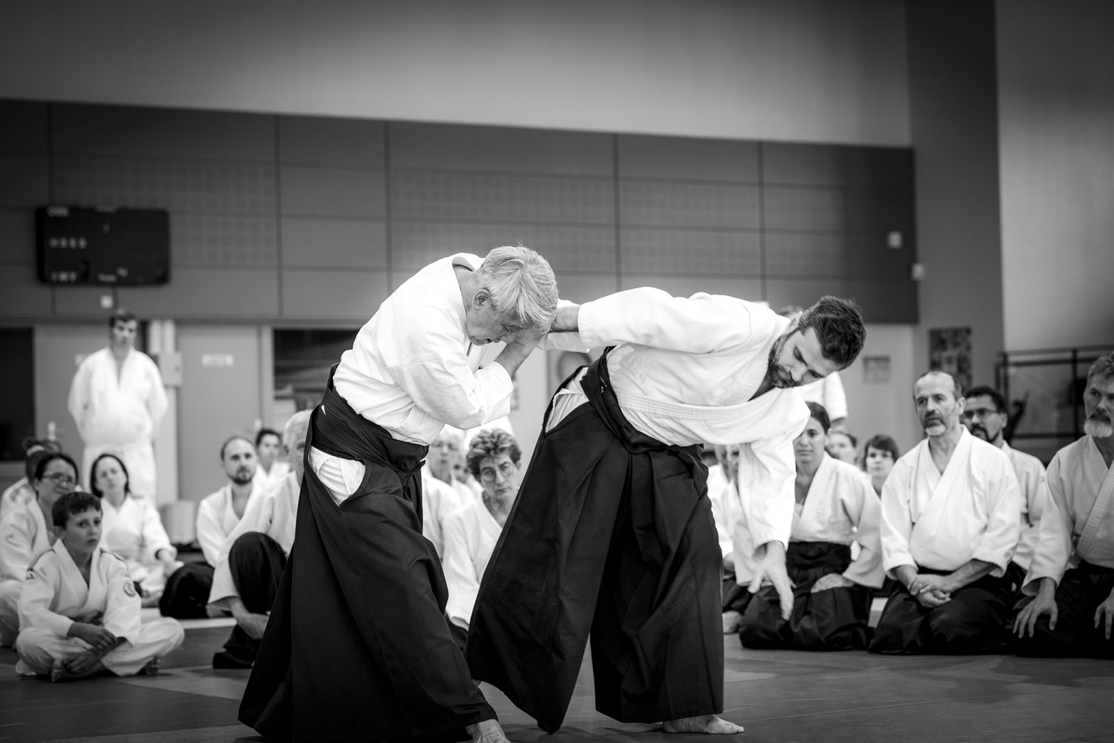 Stage Hiroshi Ikeda 2026 — Aïkido Kannagara Guyancourt
