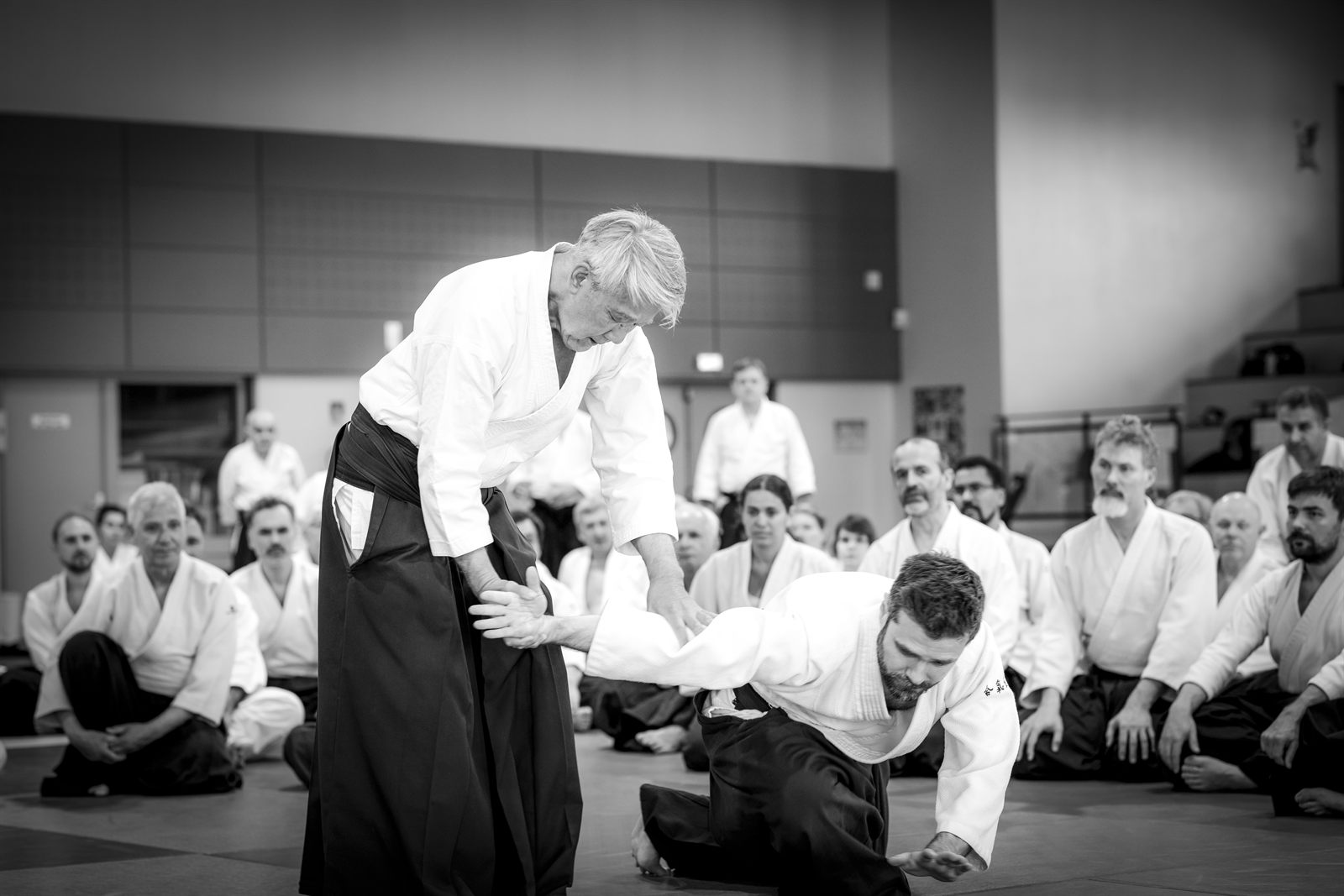 Stage Hiroshi Ikeda 2026 — Aïkido Kannagara Guyancourt